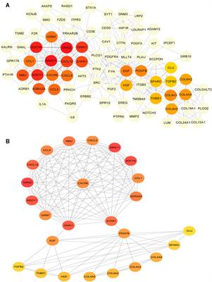 Identification of Potential Novel Prognosis-Related Genes Through Transcriptome Sequencing, Bioinformatics Analysis, and Clinical Validation in Acute Myeloid Leukemia